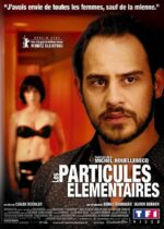 Les particules élémentaires