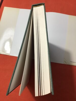 Gabriel CHEVALIER/ CLOCHEMERLE/ Illustrations de DUBOUT/ Éditions FLAMMARION 1982